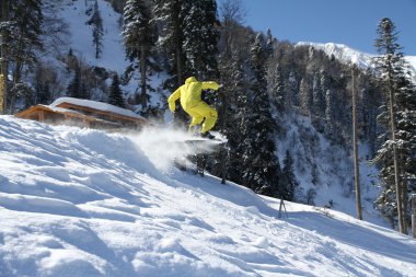 Snowboard freerider