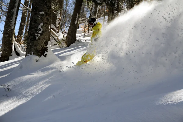 Snowboard freerider — Stock Fotó