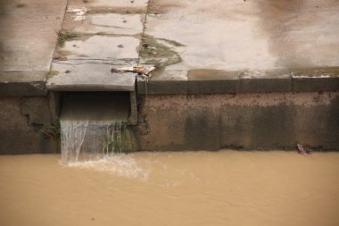 çevre felaketi nehri kirleten,.