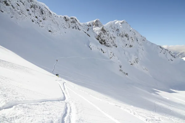 Freeride, pistes sur une pente — Photo