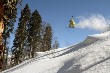 Snowboard freerider