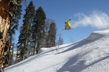 Snowboard freerider