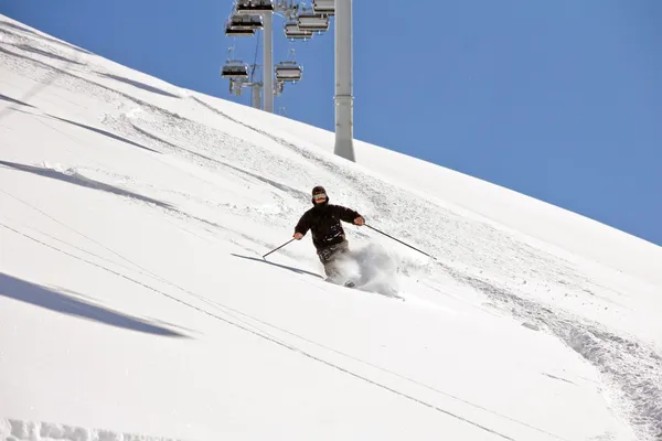 Derin toz, aşırı freeride kayakçı — Stok fotoğraf