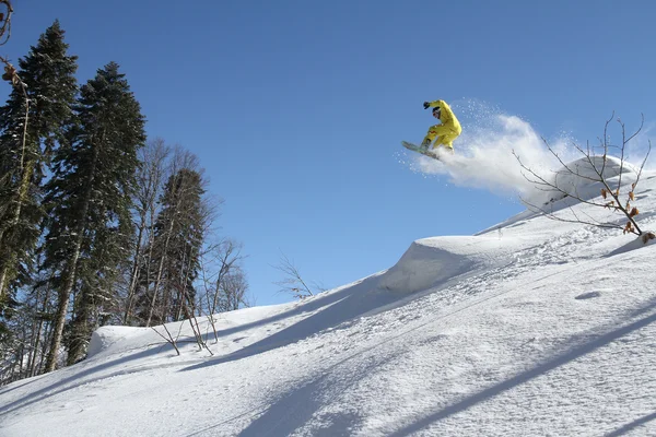 Freerider snowboard — Fotografia de Stock
