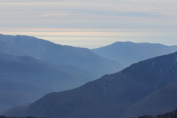 Die Berge in Krasnaja Poljana, Sotschi, Russland — Stockfoto