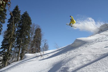 Snowboard freerider