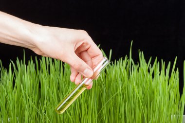 bir test tüpünde ve çim ile el. gübre