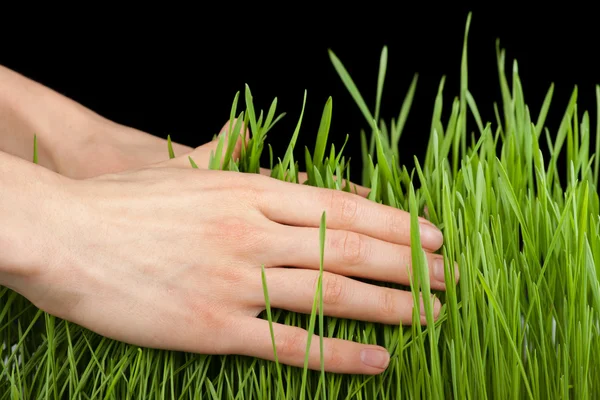 Hand boven groen gras — Stockfoto