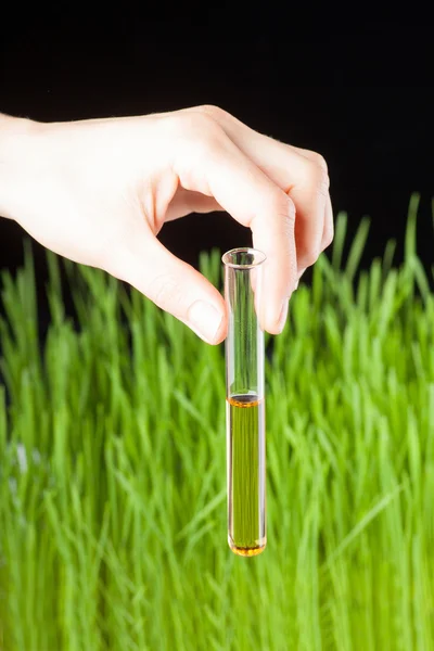 Hand with a test tube and grass. Fertilizer — Stock Photo, Image