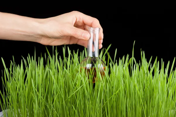 Hand with a test tube and grass. Fertilizer — Stock Photo, Image