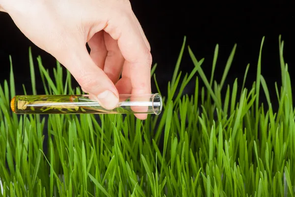 Mano con un tubo de ensayo y hierba. Fertilizantes — Foto de Stock