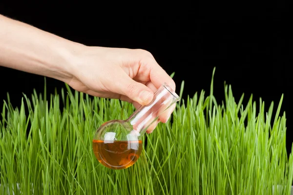 Hand met een reageerbuis en gras. kunstmest — Stockfoto