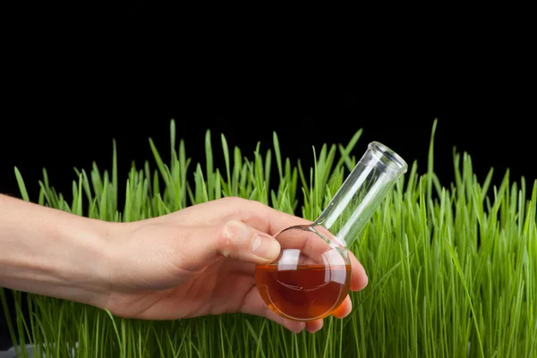 Hand met een reageerbuis en gras. kunstmest — Stockfoto