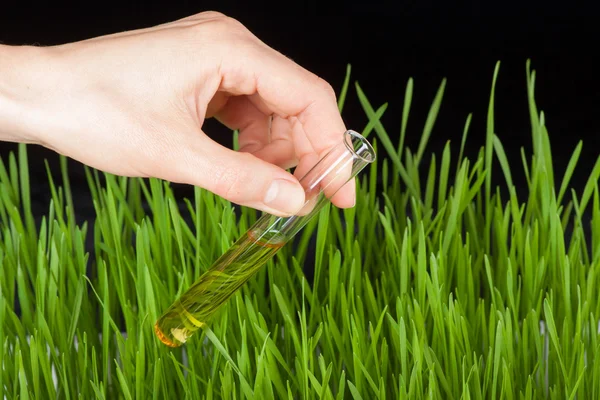 Hand with a test tube and grass. Fertilizer — Stock Photo, Image