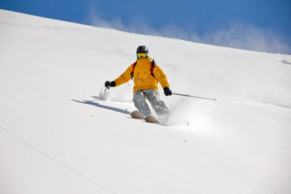 Esquiador en polvo profundo, freeride extremo —  Fotos de Stock