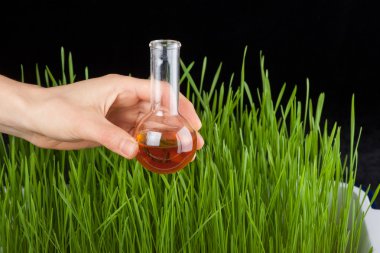 bir test tüpünde ve çim ile el. gübre