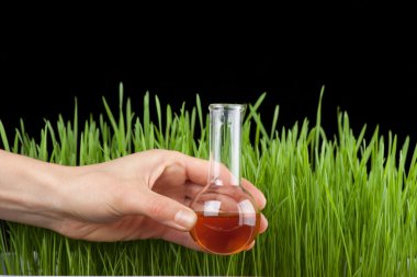 bir test tüpünde ve çim ile el. gübre