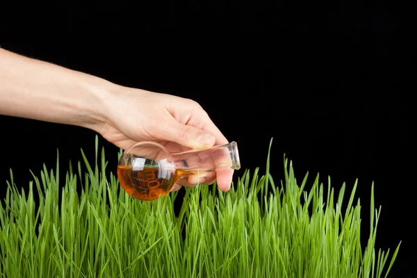 Hand mit Reagenzglas und Gras. Dünger — Stockfoto