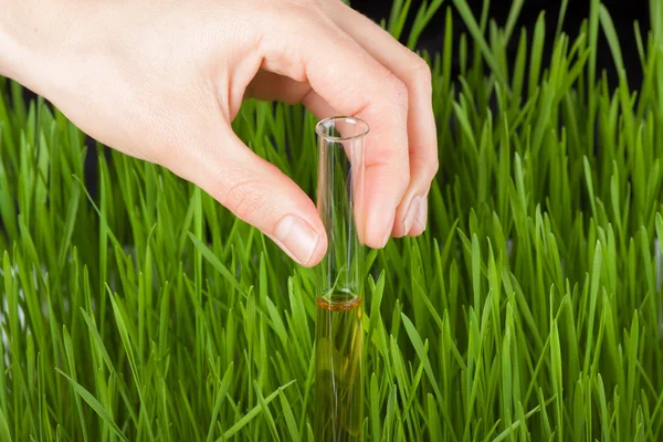 Hand with a test tube and grass. Fertilizer — Stock Photo, Image