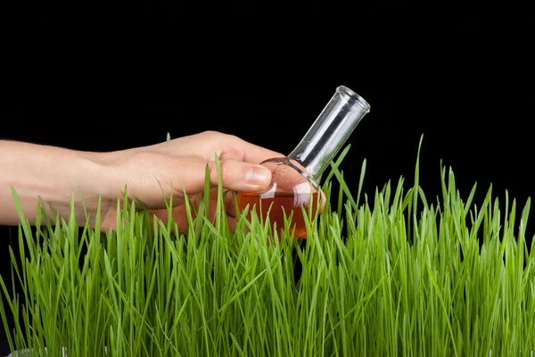 Hand mit Reagenzglas und Gras. Dünger — Stockfoto