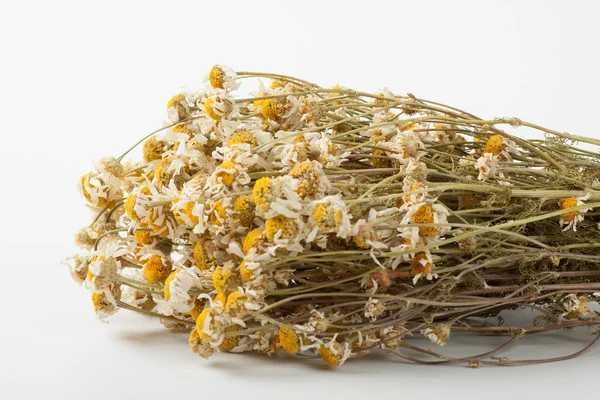 Dried chamomile on white background — Stock Photo, Image