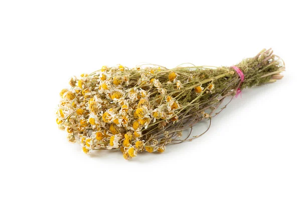 Dried chamomile on white background — Stock Photo, Image