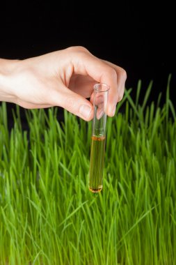 bir test tüpünde ve çim ile el. gübre