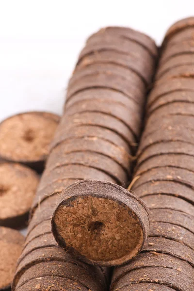 Comprimés de noix de coco pour la culture — Photo