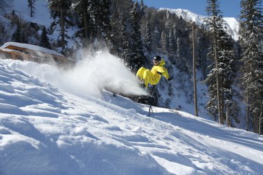 Snowboard freerider