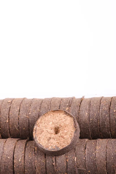 Coconut tablets for growing — Stock Photo, Image