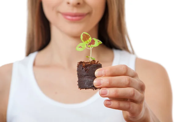 Giovane donna che tiene pianta, germoglio di coleus — Foto Stock