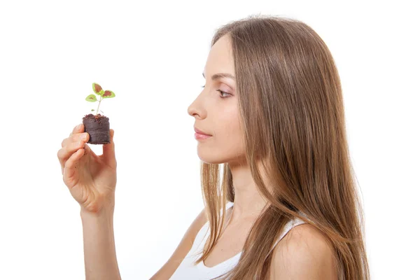 Young woman holding plant,  coleus sprout — Stock Photo, Image