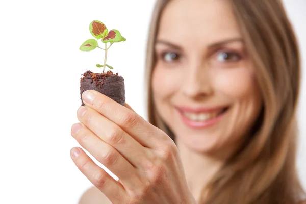 Young woman holding plant,  coleus sprout — Stock Photo, Image