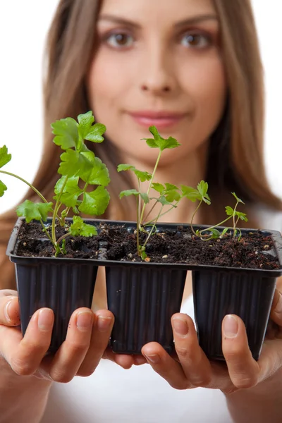 Jonge vrouw met plant, selderij sprout — Stockfoto