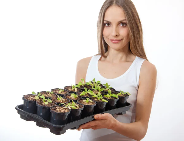 Young woman holding a lettuce seedling — Stock Photo, Image