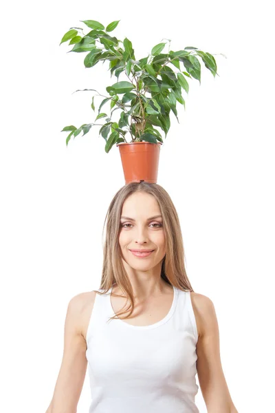 Mujer sonriente sostiene planta de interior aislada en blanco . — Foto de Stock