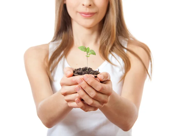 女性の手で緑の植物の芽 — ストック写真