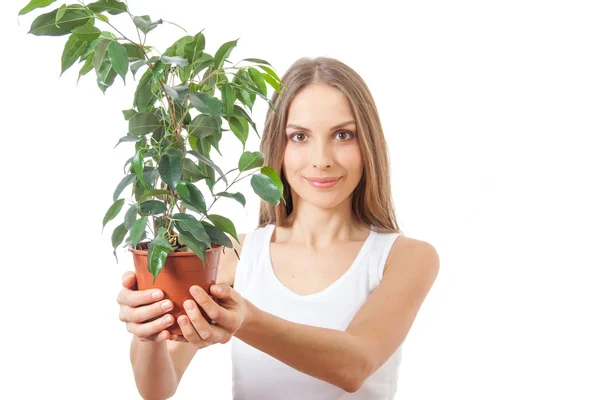 Mujer joven sosteniendo planta de interior, isolaterd en blanco — Foto de Stock