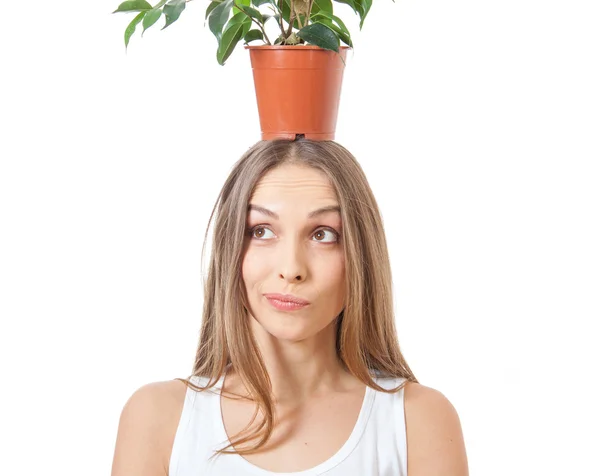 微笑女人保持室内盆栽植物上白色孤立. — 图库照片