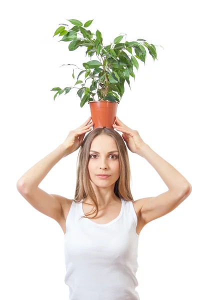 Lächelnde Frau hält Zimmerpflanze isoliert auf weiß. — Stockfoto