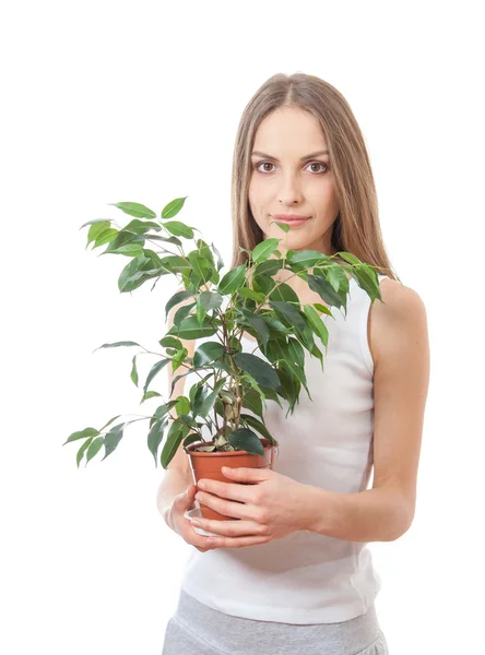 Mujer joven sosteniendo planta de interior, isolaterd en blanco — Foto de Stock