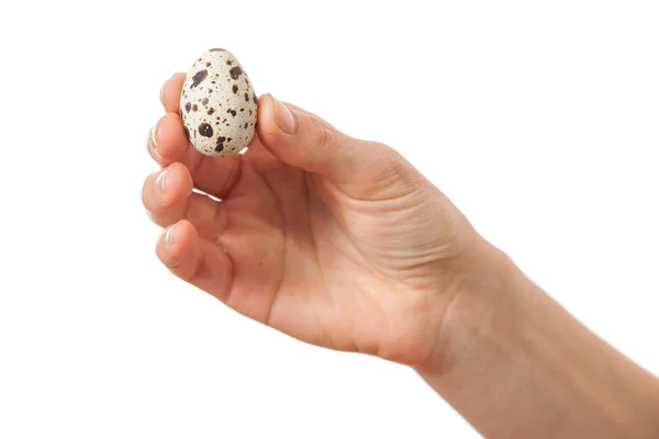 Перепелині яйця в руці, ізольовані на білому — стокове фото