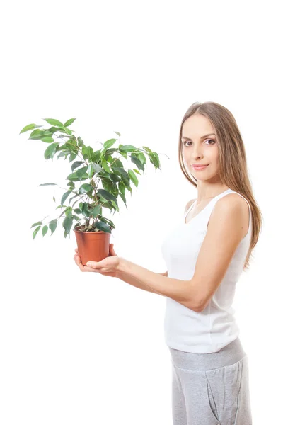 Jonge vrouw met kamerplant, isolaterd op wit — Stockfoto
