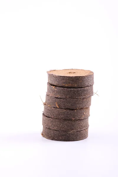 Coconut tablets for growing — Stock Photo, Image