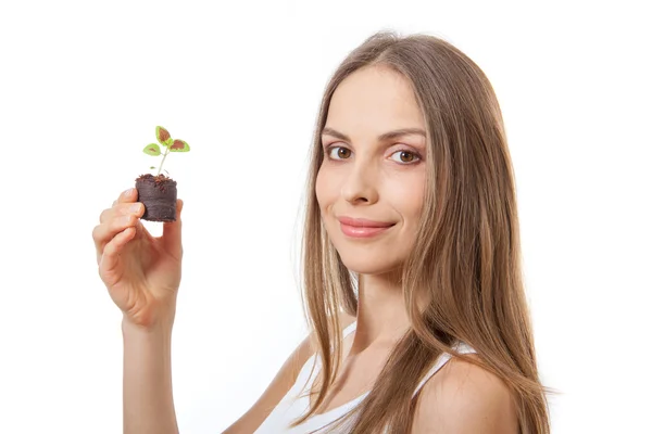 Mujer joven sosteniendo planta, brote de coleus — Foto de Stock