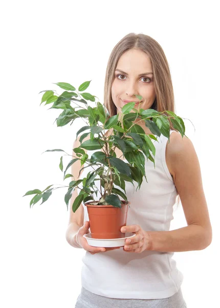 Mujer joven sosteniendo planta de interior, isolaterd en blanco — Foto de Stock