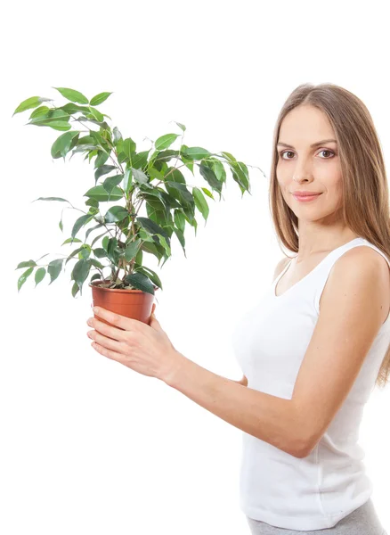 Giovane donna che tiene pianta d'appartamento, isolaterd su bianco — Foto Stock