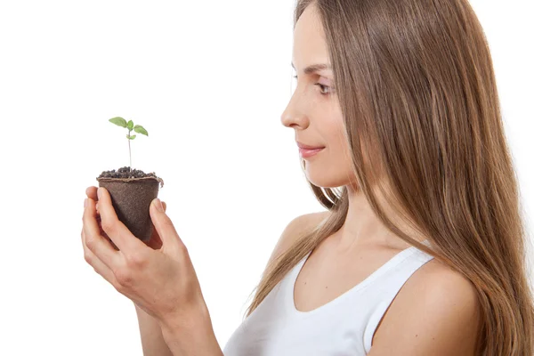 Green plant sprout in female hand — Stock Photo, Image