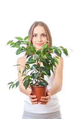 houseplant, üzerinde beyaz isolaterd tutan genç kadın