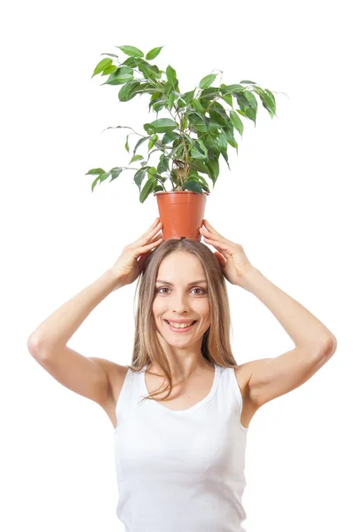 Sorrindo mulher segurar planta de sala isolada em branco . — Fotografia de Stock